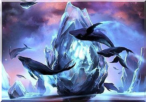 whales and ice