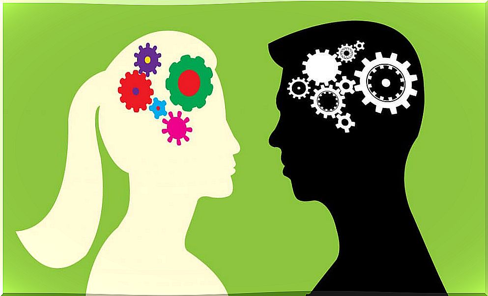 Are there any differences between the male brain and the female brain?