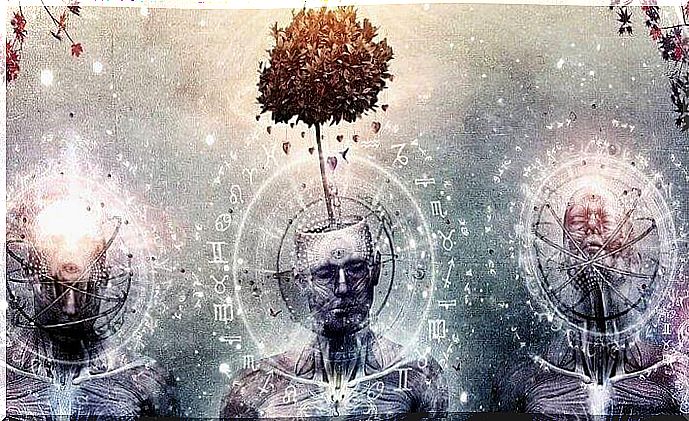 The pineal gland: the puzzle of our mind