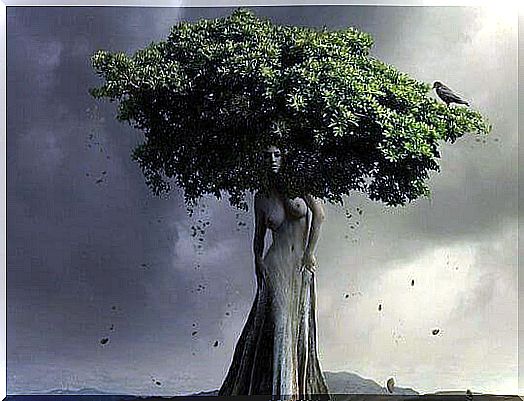 árbol-en-forma-de-mujer