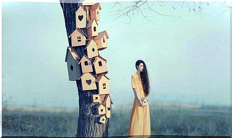 woman next to a tree with small boxes hanging on it