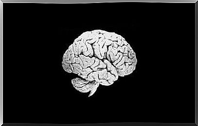 Human brain imaging