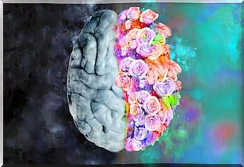 Neuroesthetics: the science to understand art