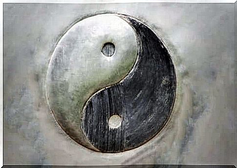 Yin and Yang: the principle of the duality of existence