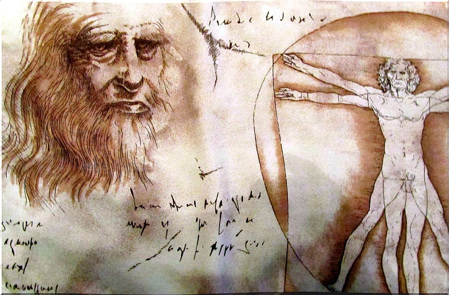 The curious prophecies of Leonardo da Vinci