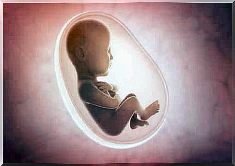 The senses that develop before birth