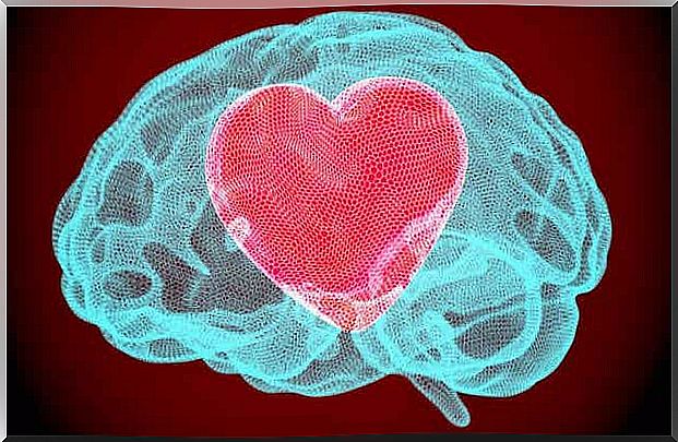 A heart in a brain.